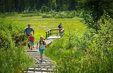 Familie wandert über Wald und Wiese