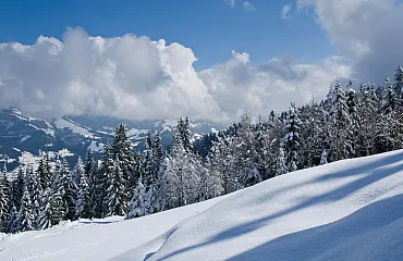 Verschneite Winterlandschaft