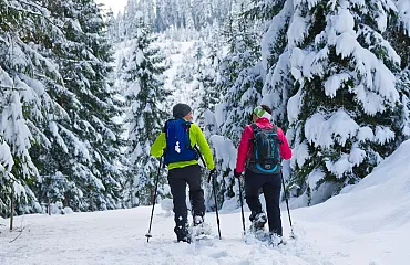 Schneeschuhwanderung durch den verschneiten Wald