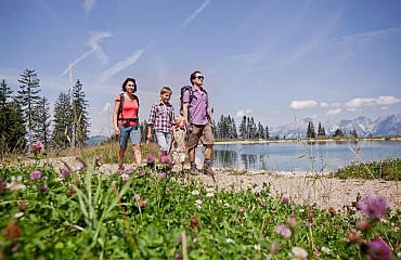 Sommerwanderung zum Almteich