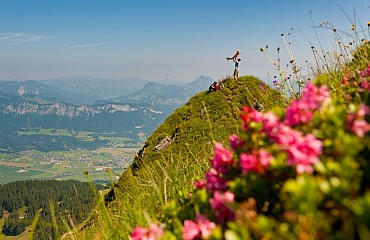 Familienausflug in den Kitzbühler Alpen