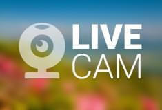 Livecam